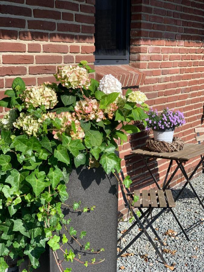 Appartements Unter Reet Tumlauer Koog Eksteriør billede